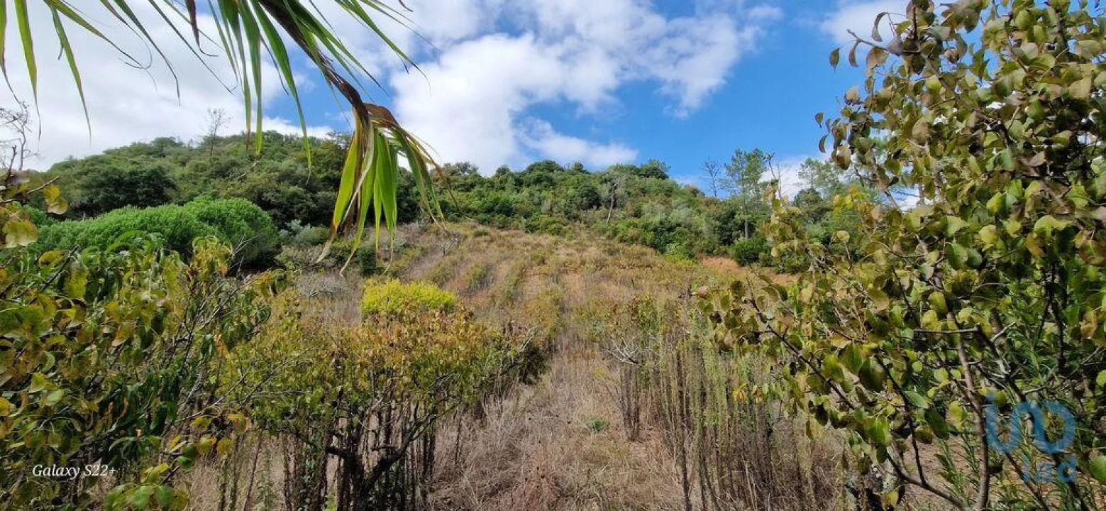 Terreno para Venda em Azueira e Sobral da Abelheira Foto 5