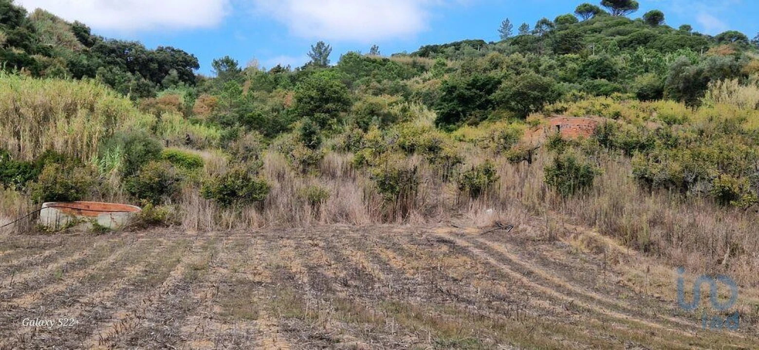 Terreno para Venda em Azueira e Sobral da Abelheira Foto 14