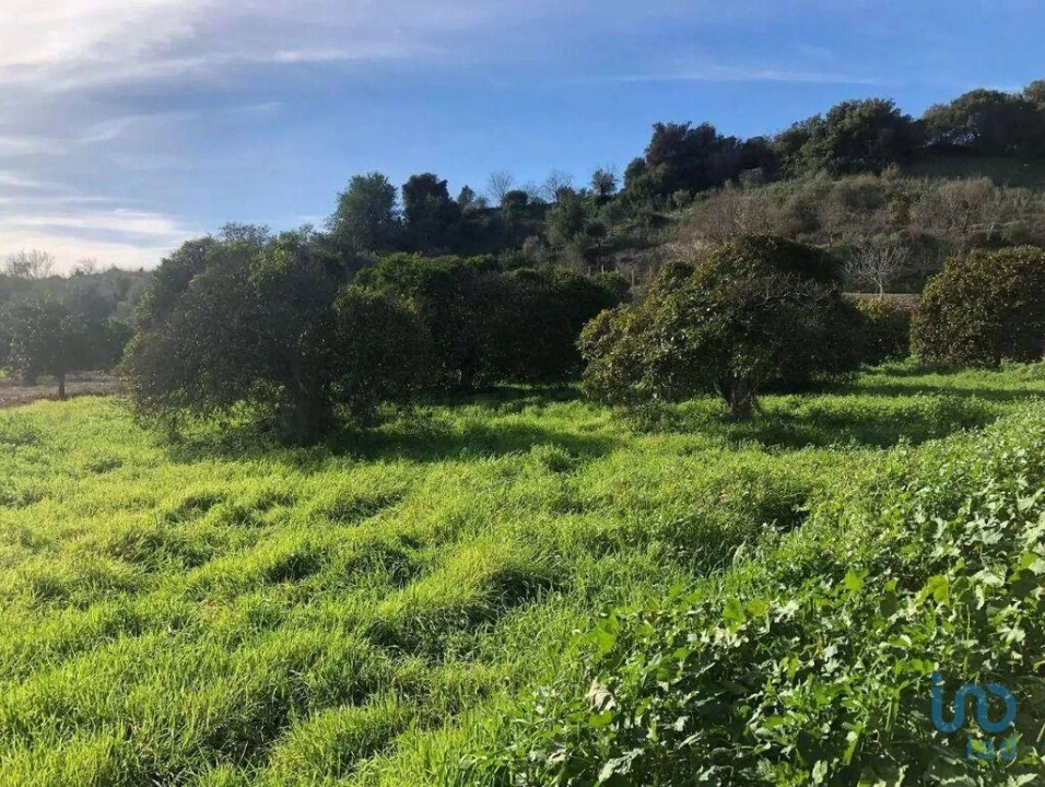 Terreno para Venda em Paderne Foto 8