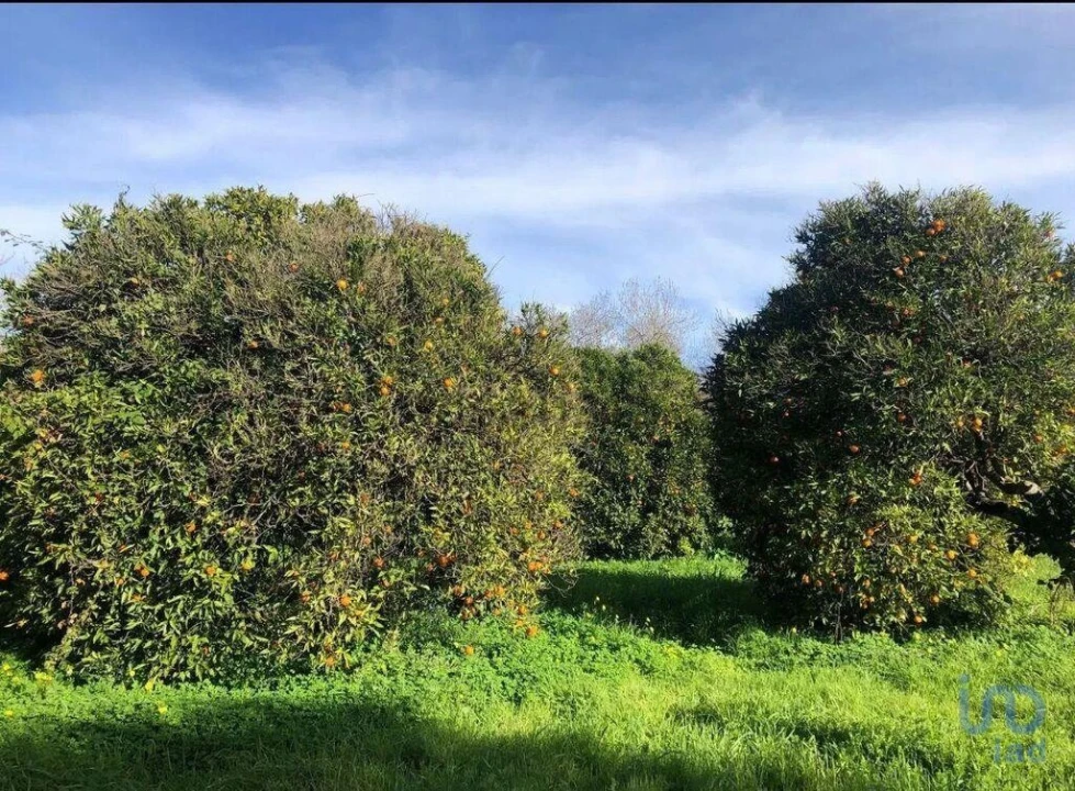 Terreno para Venda em Paderne Foto 6