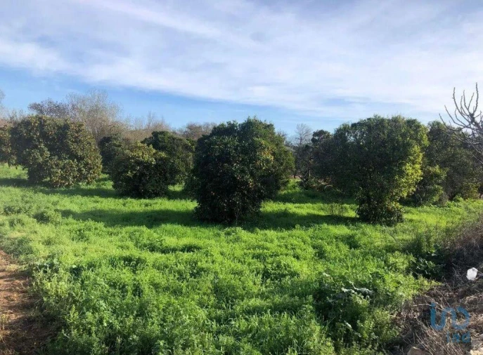 Terreno para Venda em Paderne Foto 7