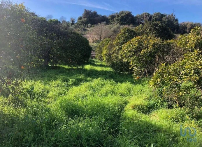 Terreno para Venda em Paderne Foto 3