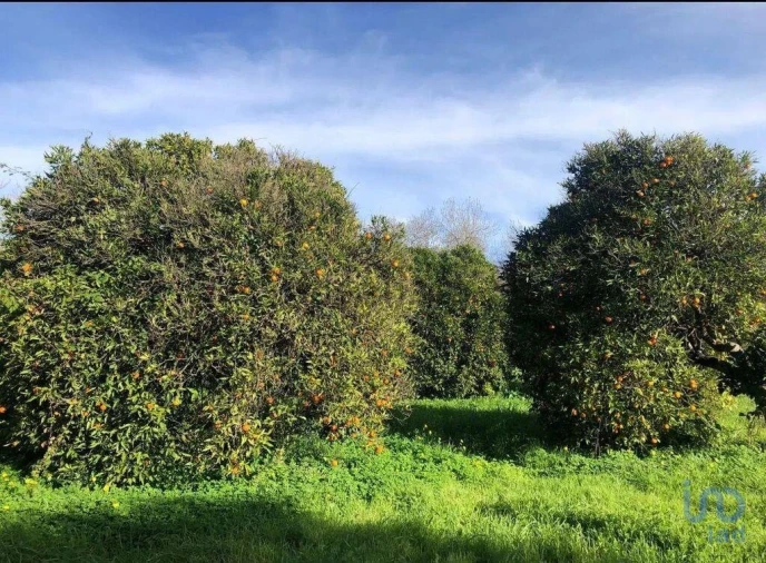 Terreno para Venda em Paderne Foto 6
