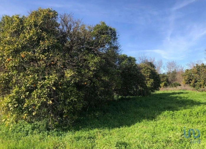 Terreno para Venda em Paderne Foto 5