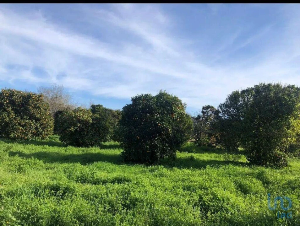 Terreno para Venda em Paderne Foto 13