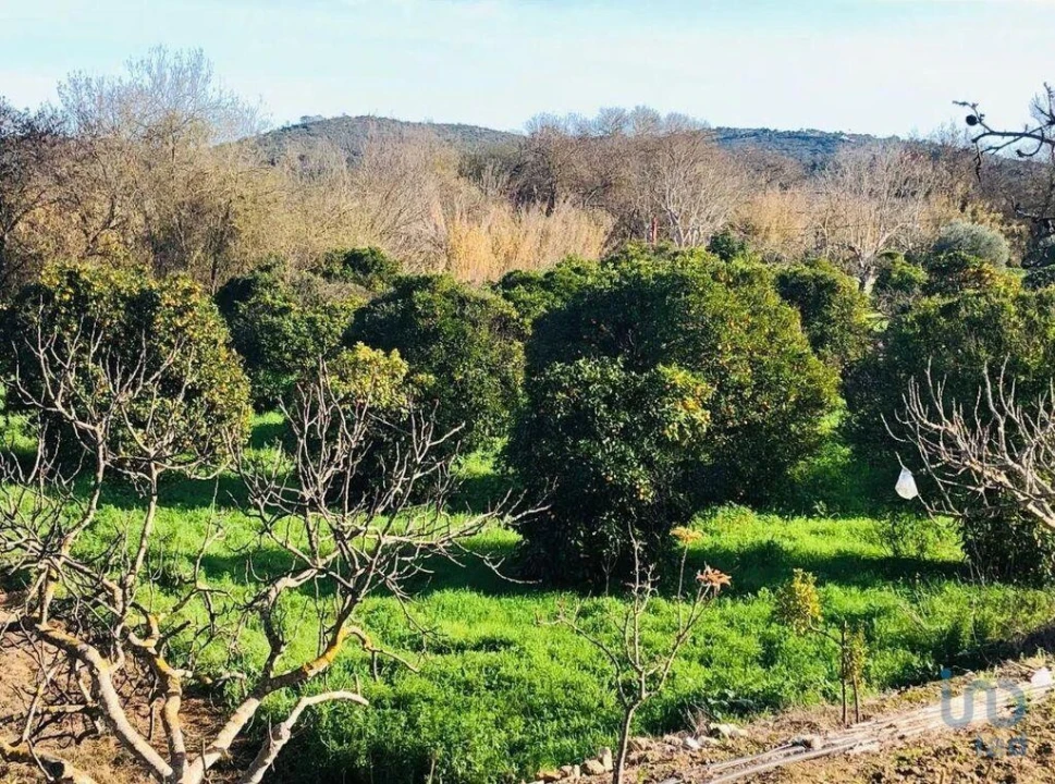 Terreno para Venda em Paderne Foto 10