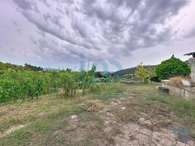 Moradia T5 para Venda em Rio de Moinhos Foto 10