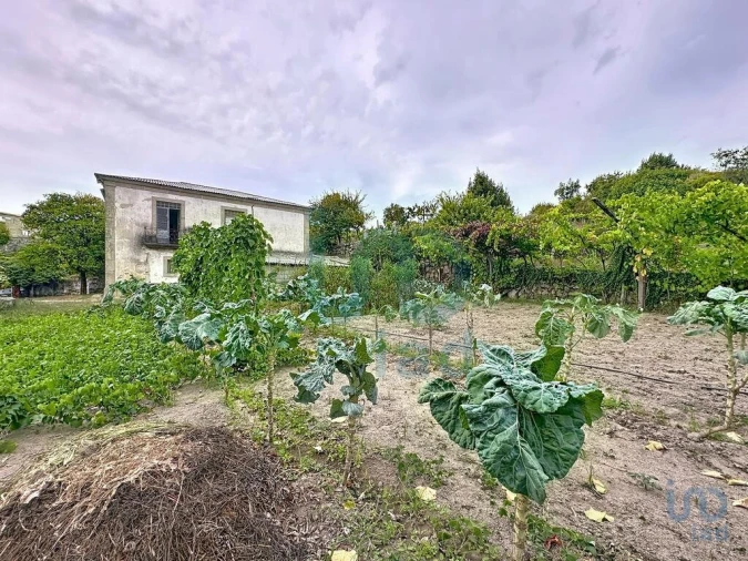 Moradia T5 para Venda em Rio de Moinhos Foto 12