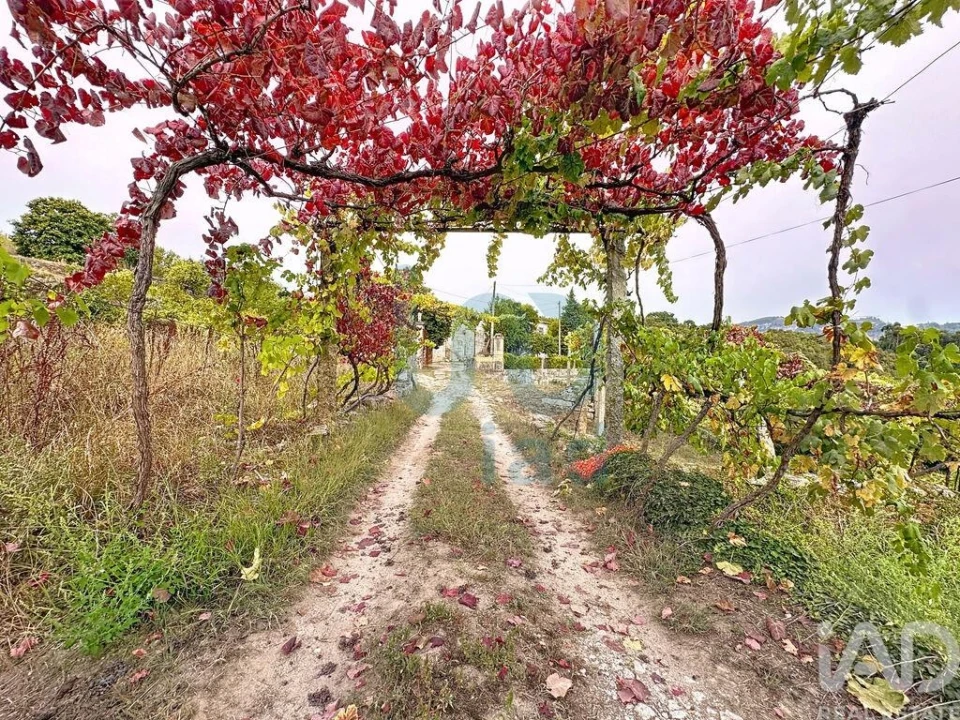 Moradia T5 para Venda em Rio de Moinhos Foto 30