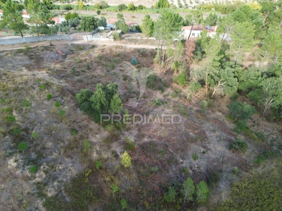 Terreno para Venda em Arneiro das Milhariças Foto 7