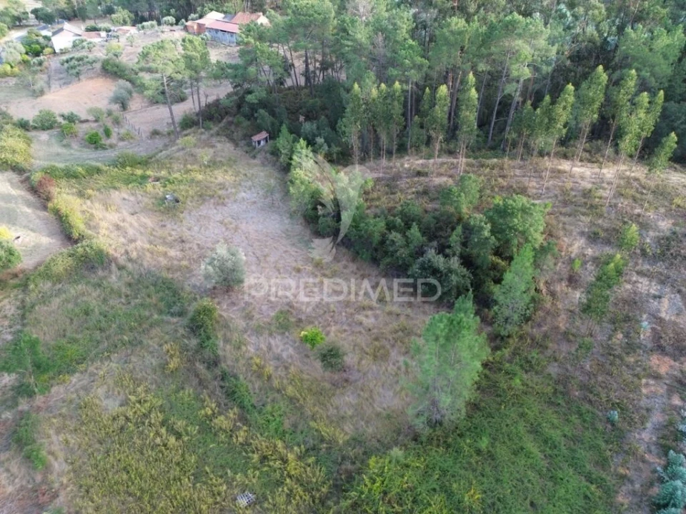 Terreno para Venda em Arneiro das Milhariças Foto 8