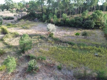 Terreno para Venda em Arneiro das Milhariças