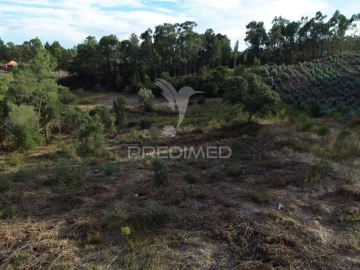 Terreno para Venda em Arneiro das Milhariças