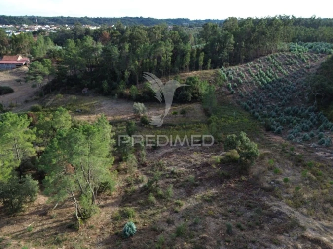 Terreno para Venda em Arneiro das Milhariças Foto 9