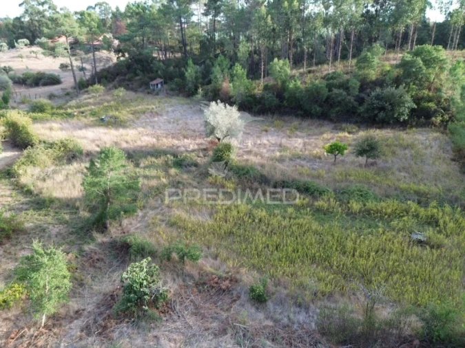 Terreno para Venda em Arneiro das Milhariças Foto 20