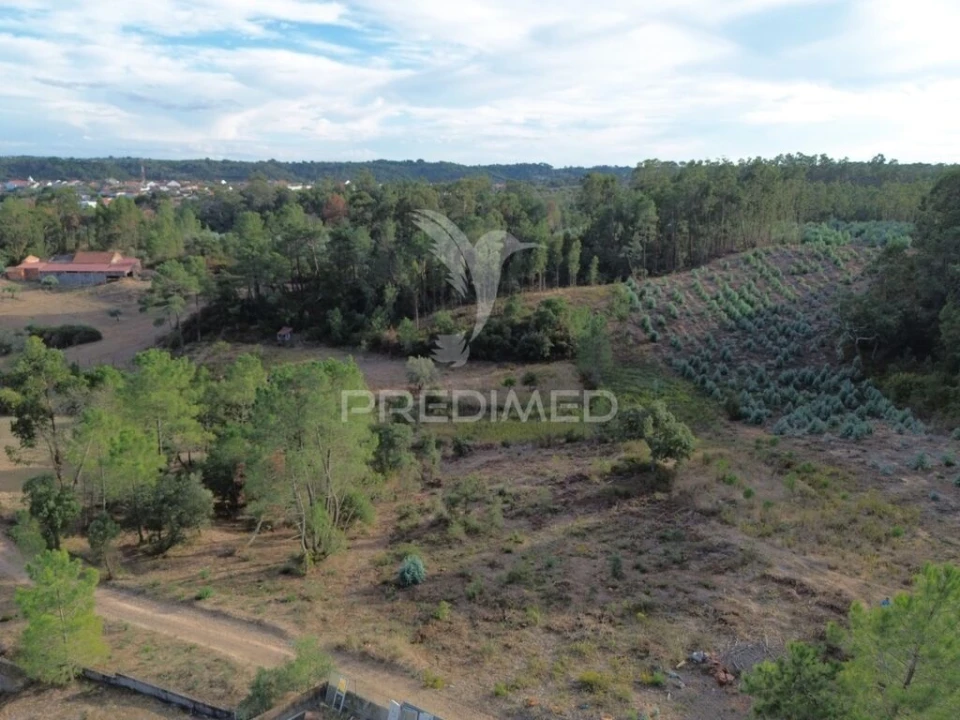 Terreno para Venda em Arneiro das Milhariças Foto 17