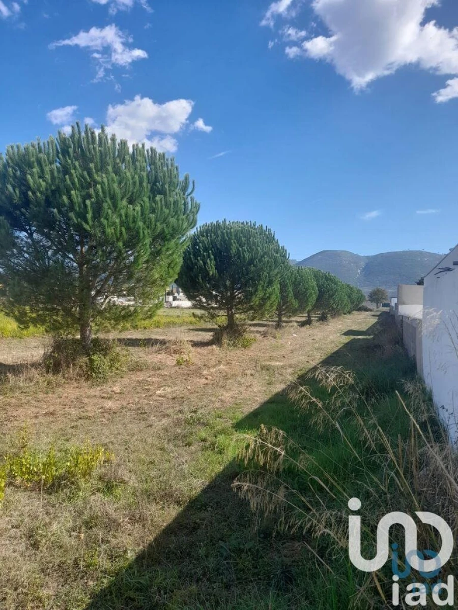 Terreno para Venda em Alcobaça e Vestiaria Foto 3