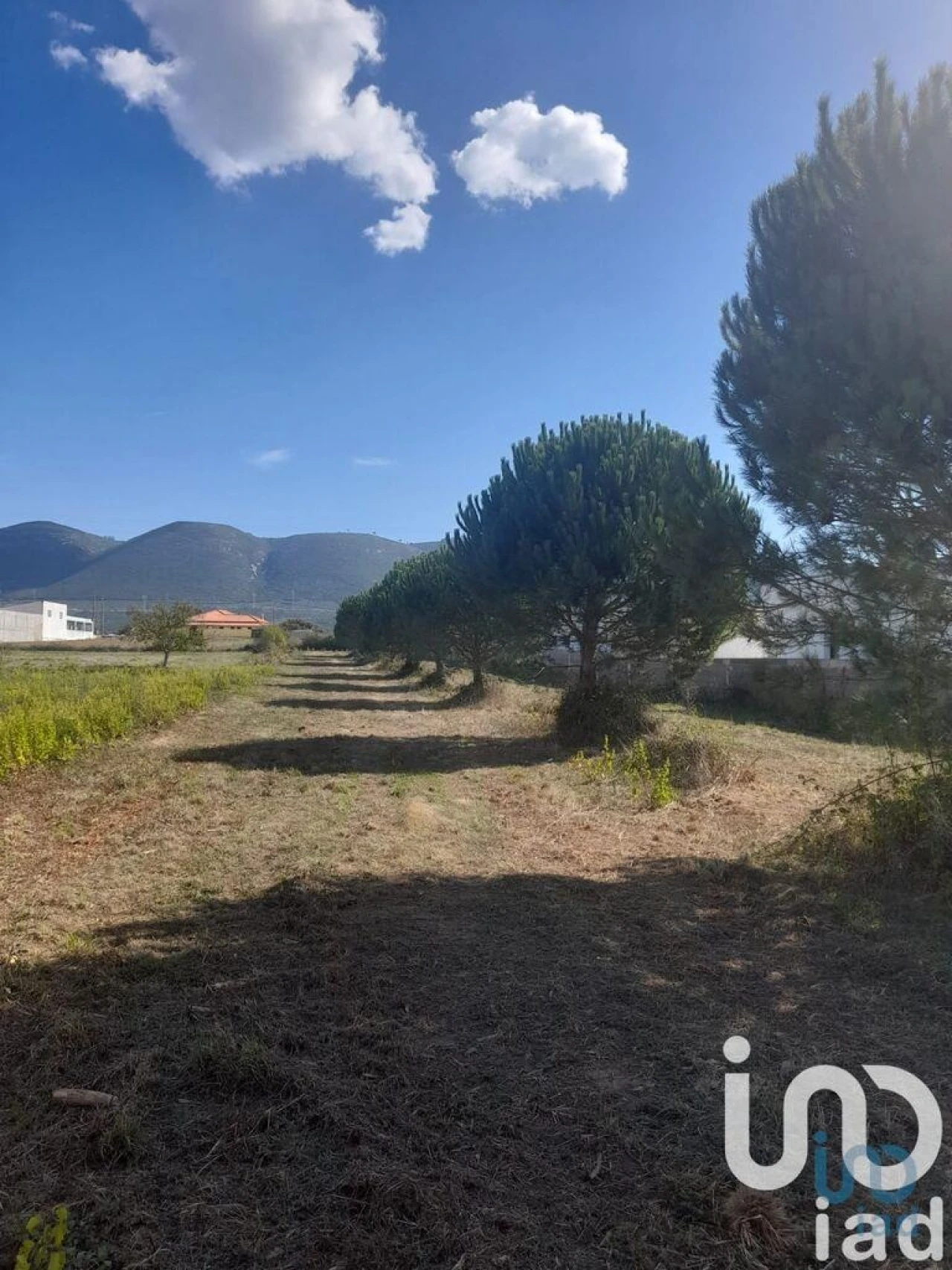 Terreno para Venda em Alcobaça e Vestiaria Foto 2