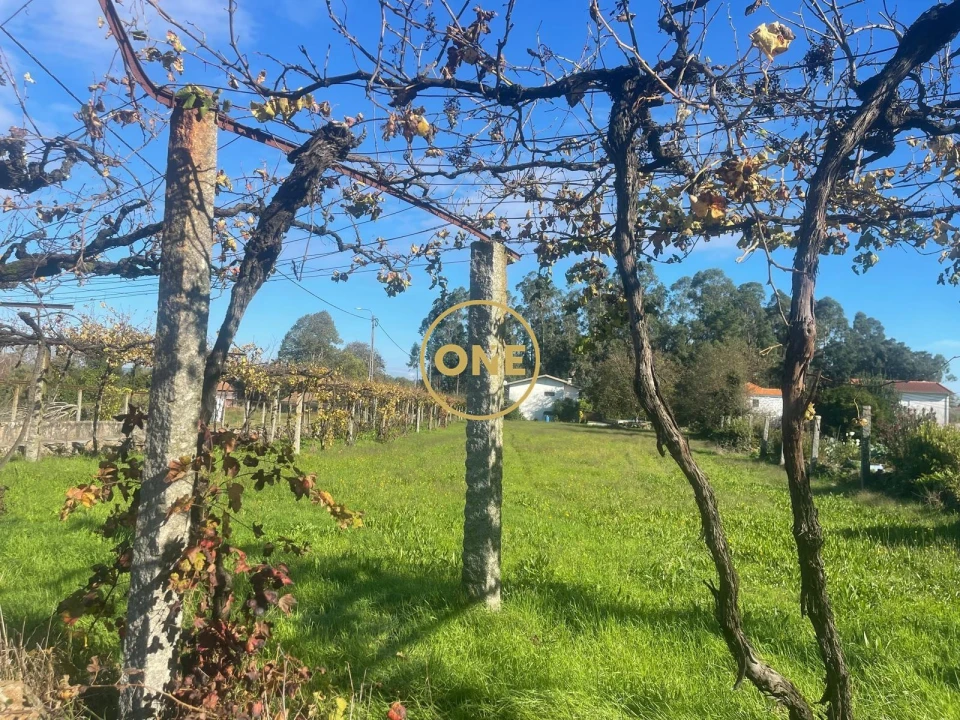 Terreno para Venda em Esmeriz e Cabeçudos Foto 1