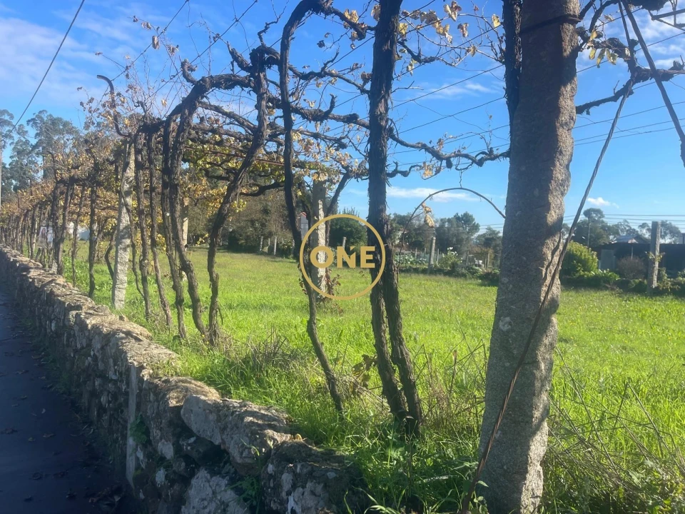 Terreno para Venda em Esmeriz e Cabeçudos Foto 6