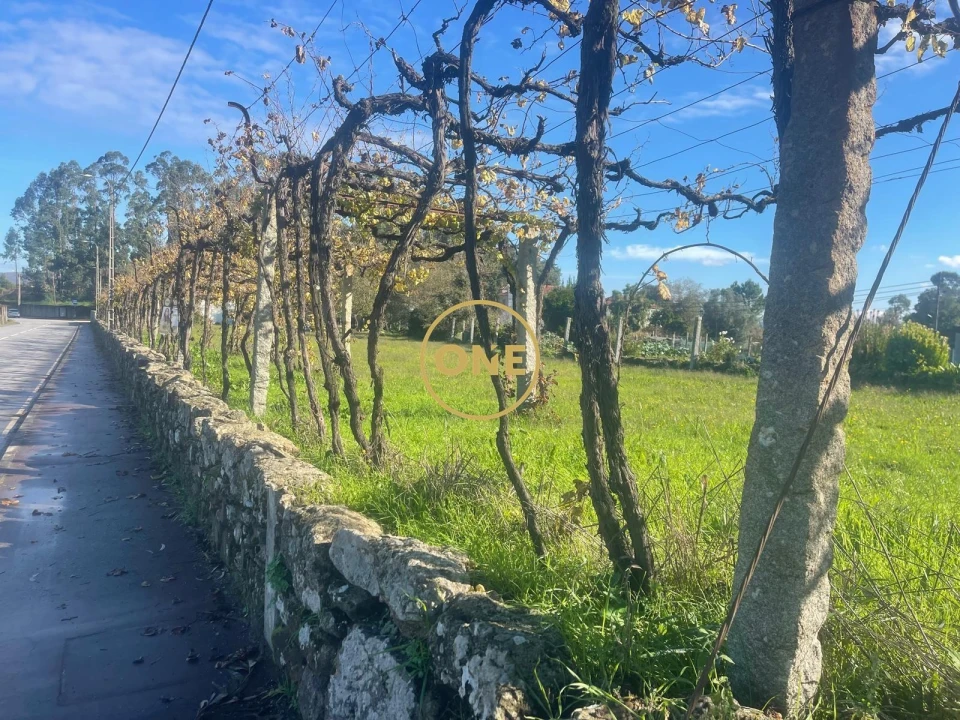 Terreno para Venda em Esmeriz e Cabeçudos Foto 5