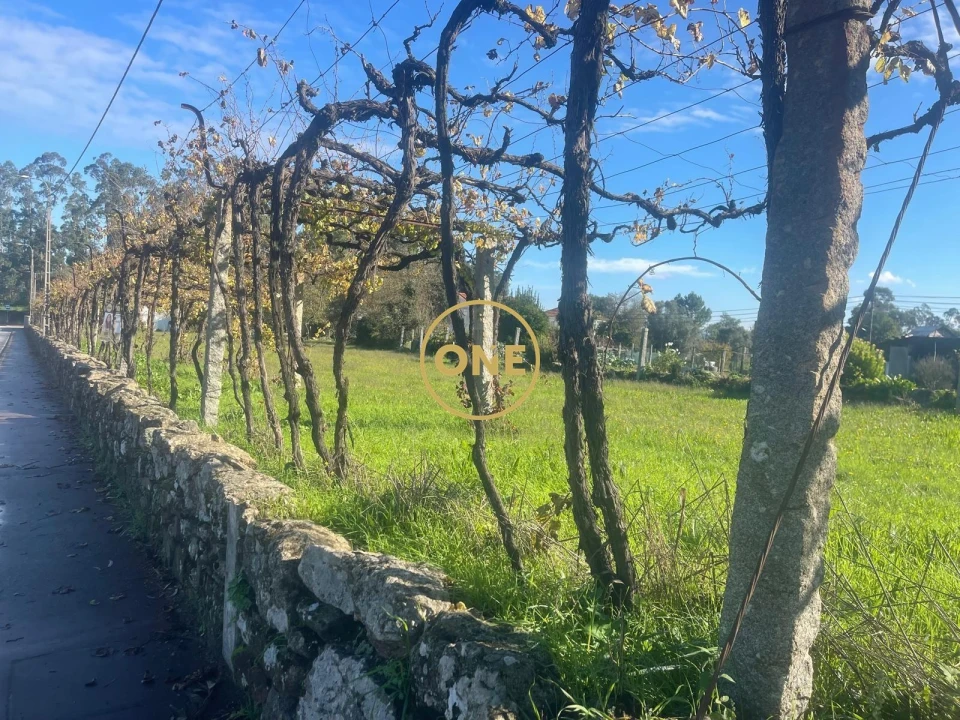 Terreno para Venda em Esmeriz e Cabeçudos Foto 9