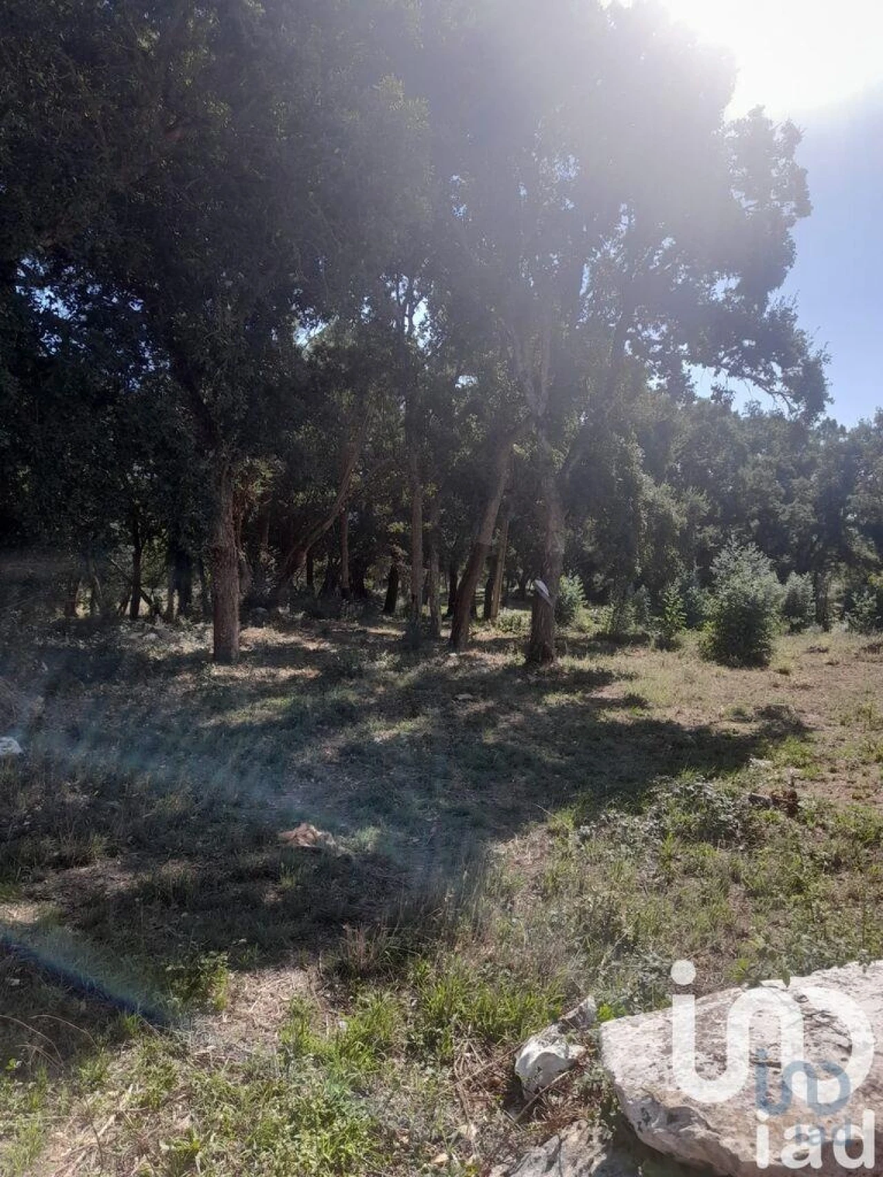 Terreno para Venda em Alcobaça e Vestiaria Foto 4