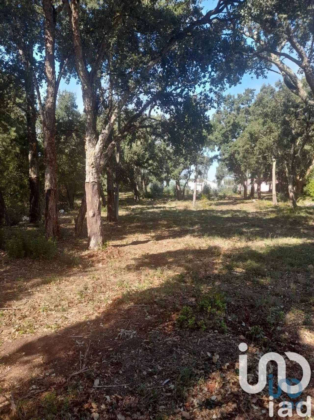 Terreno para Venda em Alcobaça e Vestiaria Foto 1