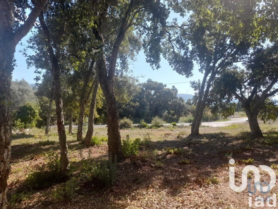 Terreno para Venda em Alcobaça e Vestiaria Foto 2