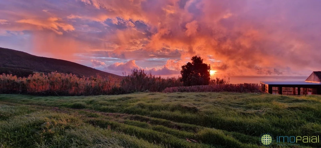 Moradia T2 para Venda em Pedro Miguel Foto 4