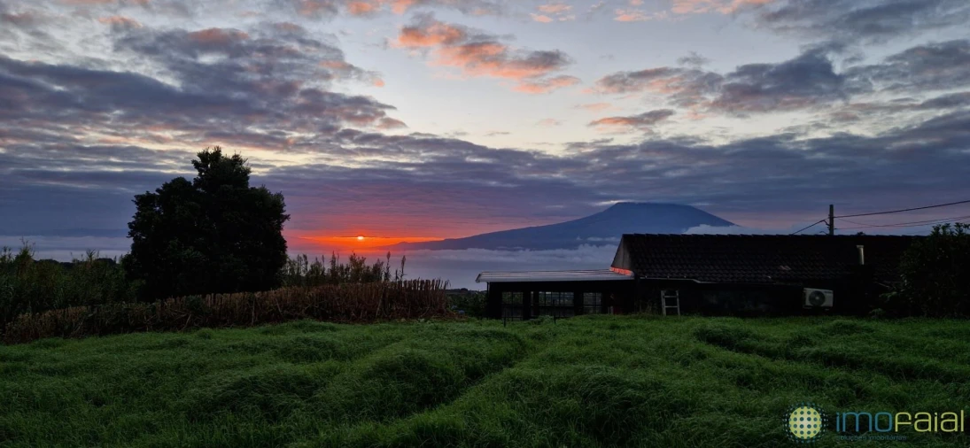 Moradia T2 para Venda em Pedro Miguel Foto 6
