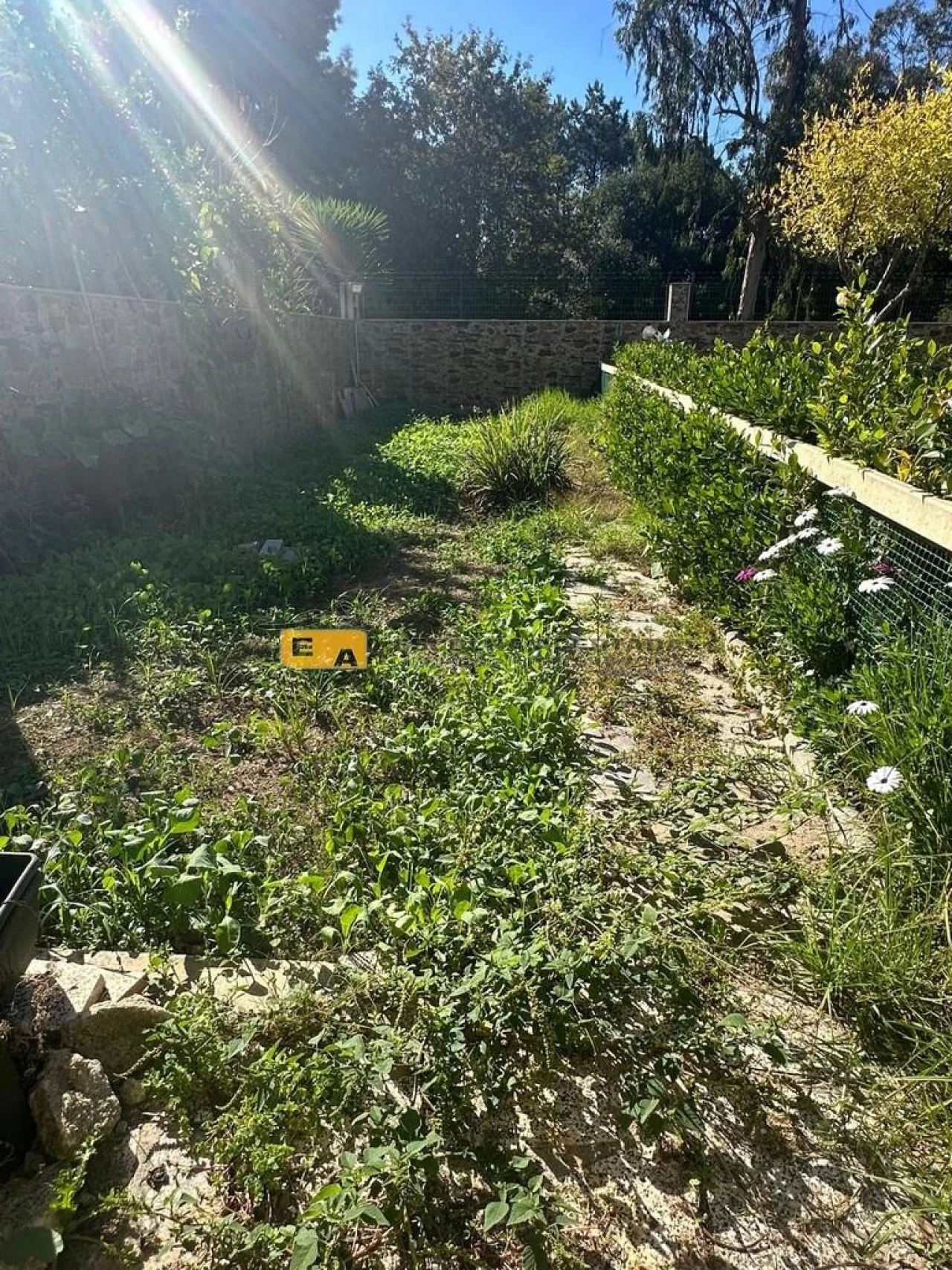 Moradia T4 para Venda em Modivas Foto 53