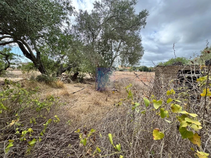 Terreno Agricola ou Rústico para Venda em Santa Barbara de Nexe Foto 11