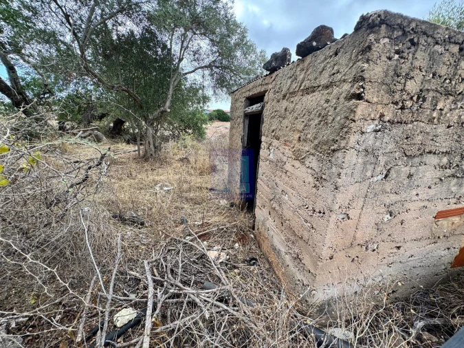 Terreno Agricola ou Rústico para Venda em Santa Barbara de Nexe Foto 5