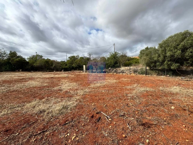 Terreno Agricola ou Rústico para Venda em Santa Barbara de Nexe Foto 2