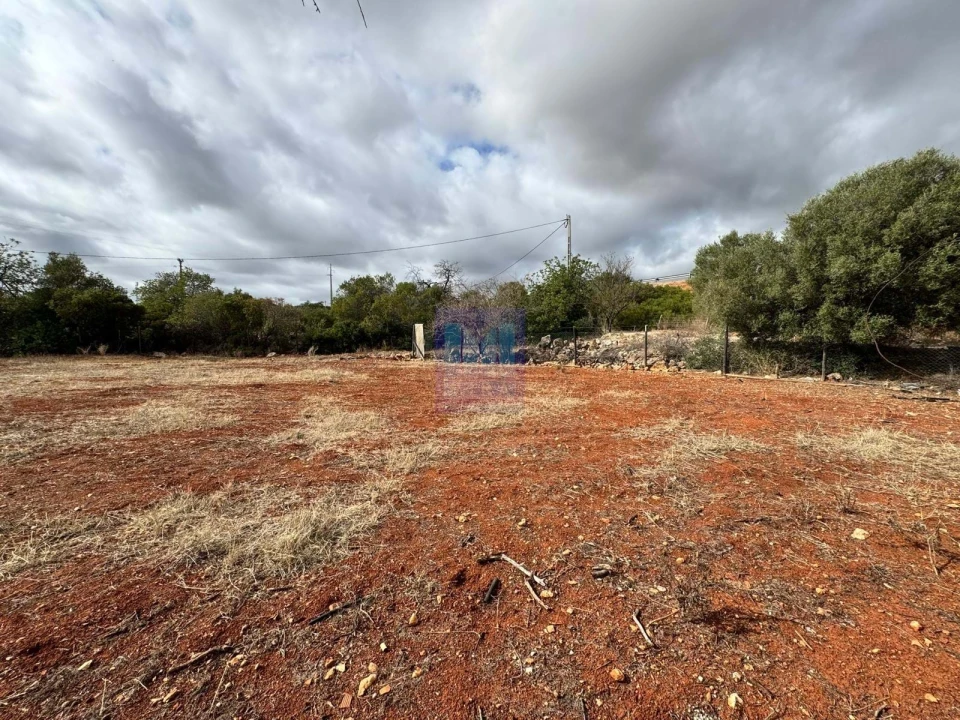 Terreno Agricola ou Rústico para Venda em Santa Barbara de Nexe Foto 2