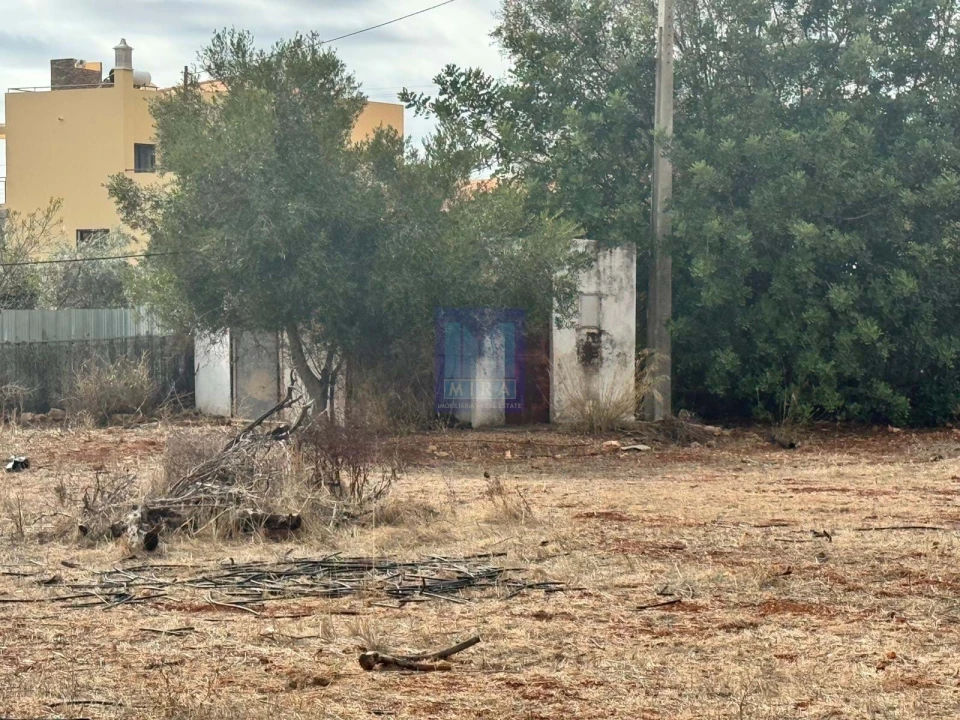 Terreno Agricola ou Rústico para Venda em Santa Barbara de Nexe Foto 6