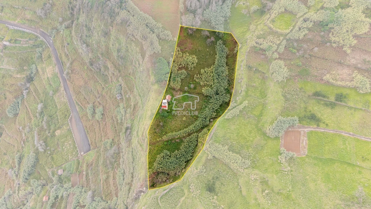 Terreno para Venda em Porto Moniz Foto 8