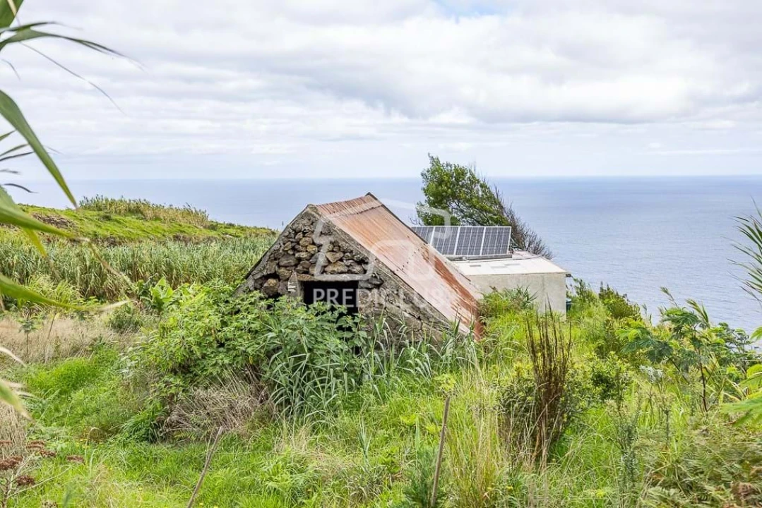 Terreno para Venda em Porto Moniz Foto 4