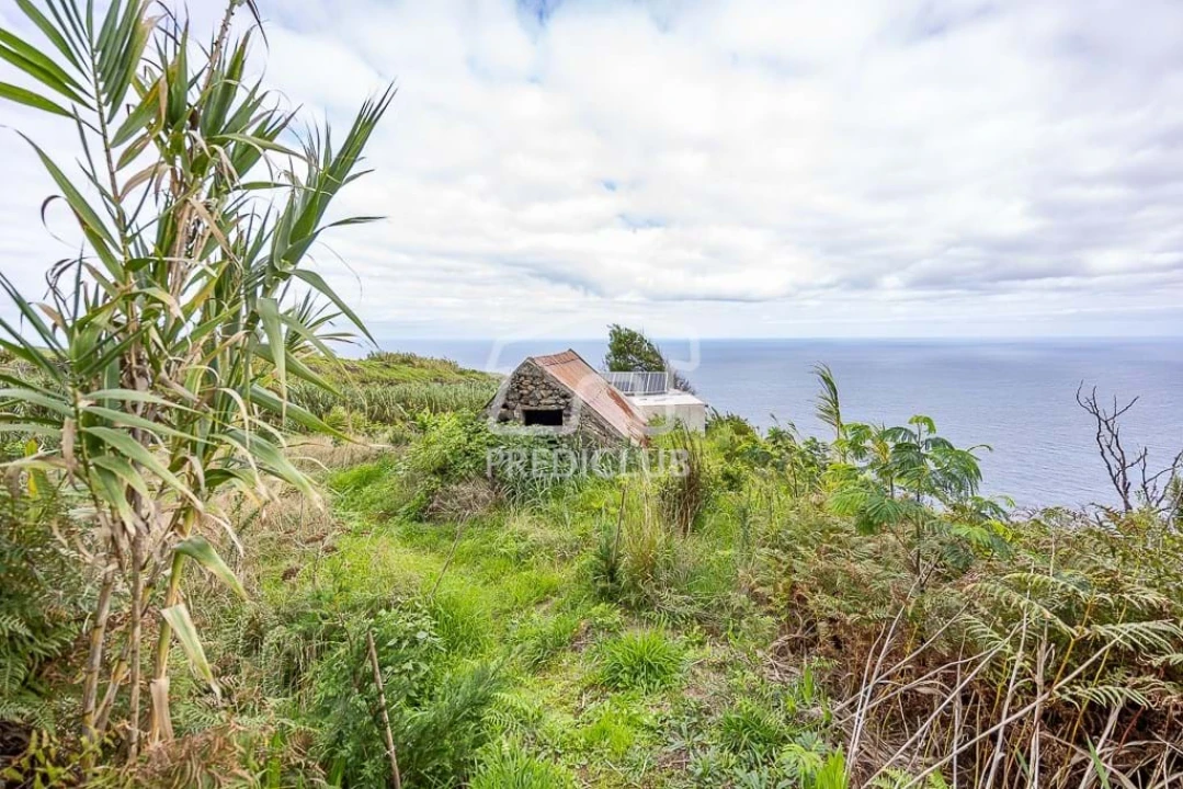 Terreno para Venda em Porto Moniz Foto 15