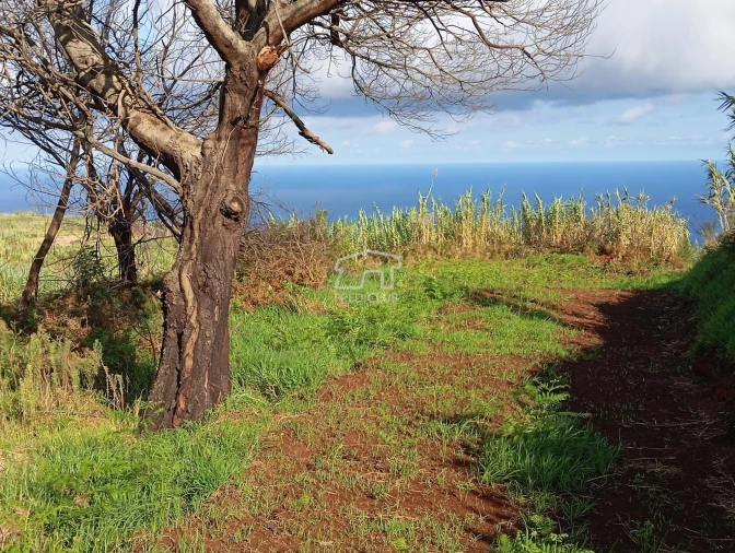 Terreno para Venda em Porto Moniz Foto 25
