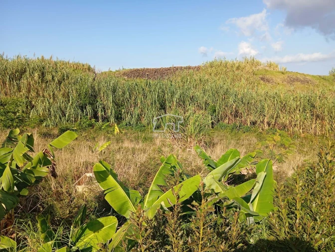 Terreno para Venda em Porto Moniz Foto 22