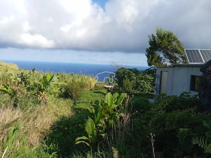 Terreno para Venda em Porto Moniz Foto 2