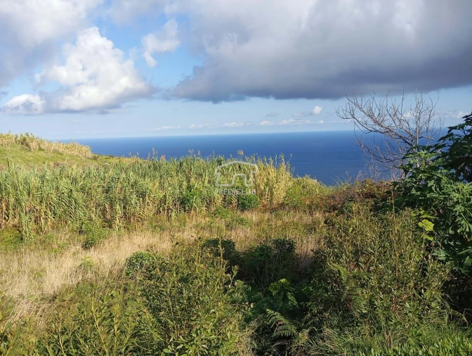 Terreno para Venda em Porto Moniz Foto 23