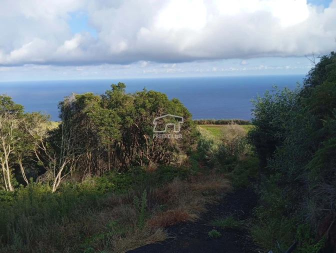 Terreno para Venda em Porto Moniz Foto 26