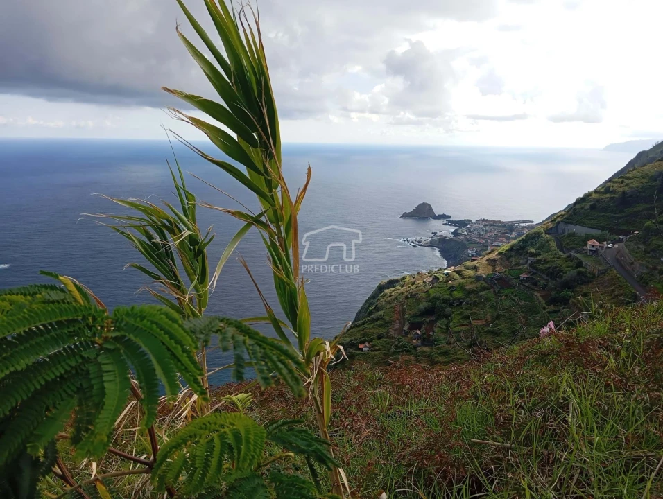 Terreno para Venda em Porto Moniz Foto 23