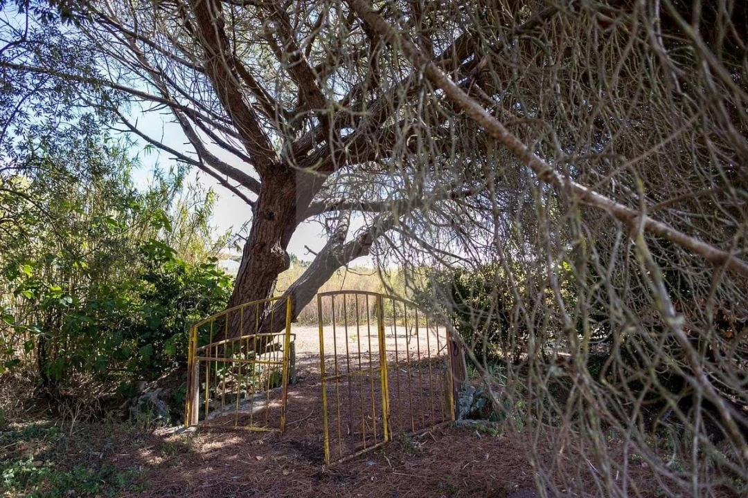 Quinta T6 para Venda em Alcabideche Foto 14