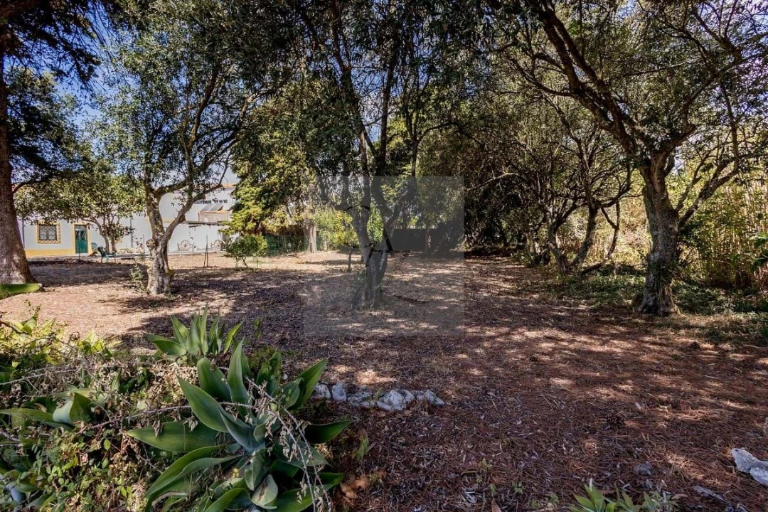 Quinta T6 para Venda em Alcabideche Foto 12