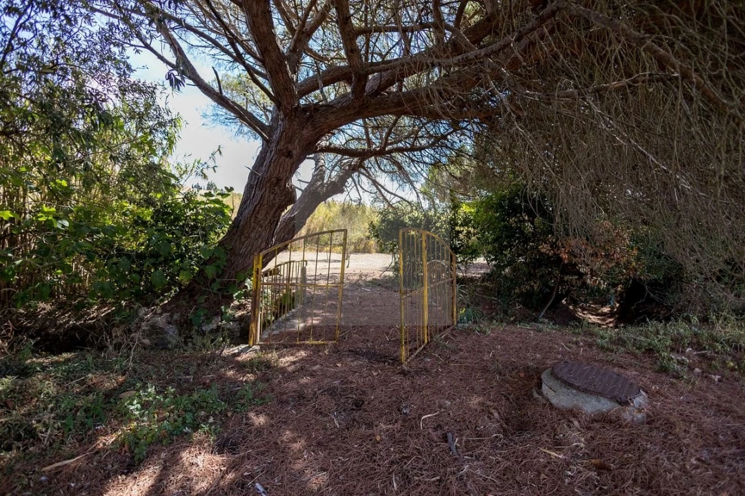 Quinta T6 para Venda em Alcabideche Foto 4