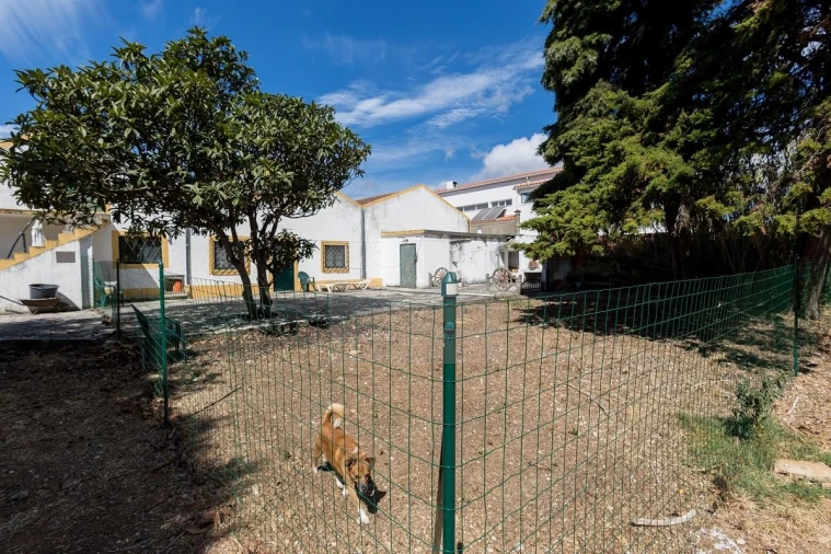 Quinta T6 para Venda em Alcabideche Foto 32